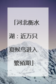 河北衡水湖：近万只夏候鸟进入繁殖期
